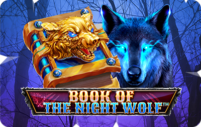 Book of the Night Wolf